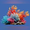 coralreefboutiq